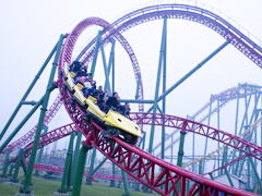 <b>Speed Fair Ride Roller Coaster YT-RC006</b>