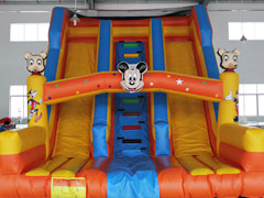 <b>Disney Inflatable Water Slide YT-S015</b>