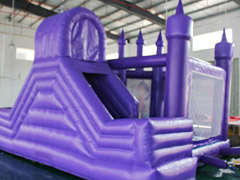 Adult Size Inflatable Water Sli